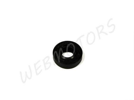 OIL SEAL 10X22X7