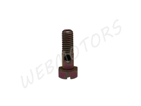 BOLT FOR FUEL PIPE