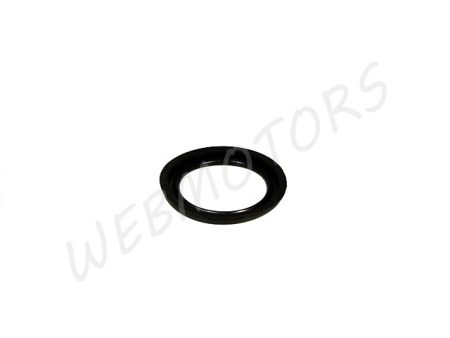 PACKING RING F. CALIPER