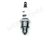 SPARK PLUG BRISK N14C