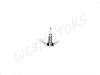 IDLE ADJUSTER SCREW