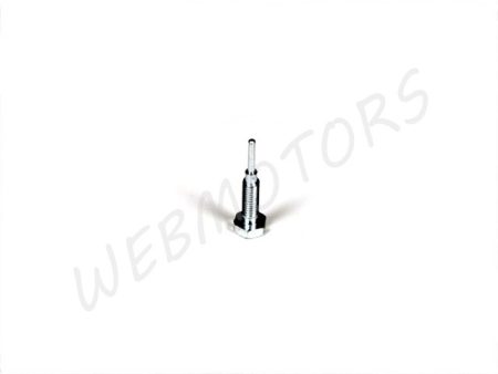 IDLE ADJUSTER SCREW