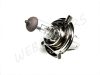 BULB 12V 60/55W H4 P43T