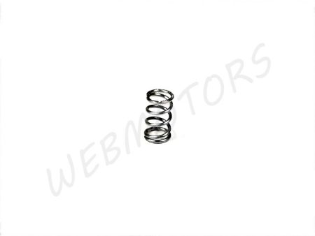 SPRING FOR ADJUSTING SCREW