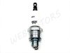 SPARK PLUG BRISK N15C