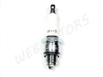 SPARK PLUG NGK BP6HS