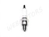 SPARK PLUG NGK CR6HSA