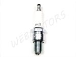 SPARK PLUG NGK B9ES