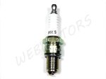 SPARK PLUG NGK B5ES