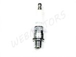SPARK PLUG NGK BR8HS