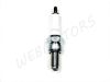 SPARK PLUG NGK CR8E