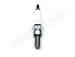 SPARK PLUG NGK CR8E