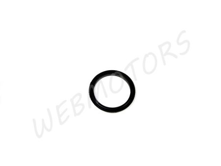 KICKSTARTER SHAFT O-RING