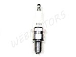 SPARK PLUG NGK B9EG