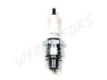 SPARK PLUG NGK BR8HSA