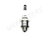 SPARK PLUG BRISK GARDEN J19