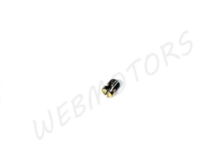 IDLE ADJUSTER SCREW