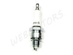 SPARK PLUG NGK BP8HS