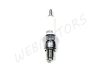 SPARK PLUG NGK C6HSA