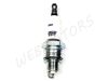 SPARK PLUG BRISK N12YC