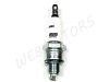 SPARK PLUG BRISK N17YC