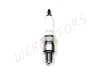SPARK PLUG NGK CR6HS