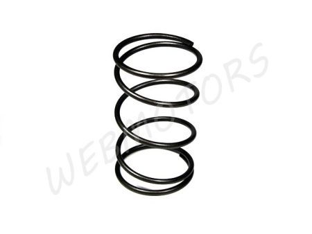 CLUTCH SPRING STANDARD 4T