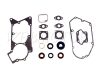 GASKET + OIL SEAL SET S.51