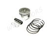 PISTON 53.00 KIT