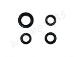 OIL SEAL KIT 150CCM