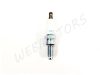 SPARK PLUG NGK CR7ECK