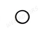 SEALING RING