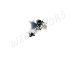 BULB 12V 55W H7 NARVA
