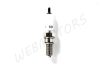 SPARK PLUG TORCH /CR8E/