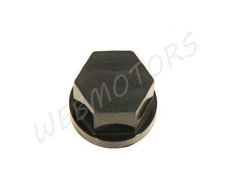 ROTAX  VILLAFEJ CSAVARRA KUPAK