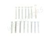 SCREW SET /CYLINDER BLOCK/