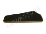 AIR FILTER ELEMENT 50-80CCM 4T