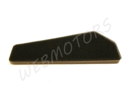AIR FILTER ELEMENT 50-80CCM 4T