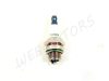 SPARK PLUG TORCH /BM6A/