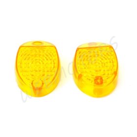 WINKER LENS PAIR /TROPHY/
