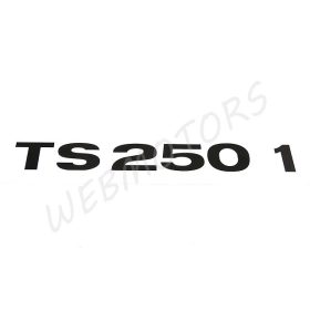 MZ TS 250/1 MATRICA SZERSZÁMDOBOZ FEDÉLRE