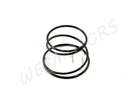 SPRING FOR VALVE WASHER