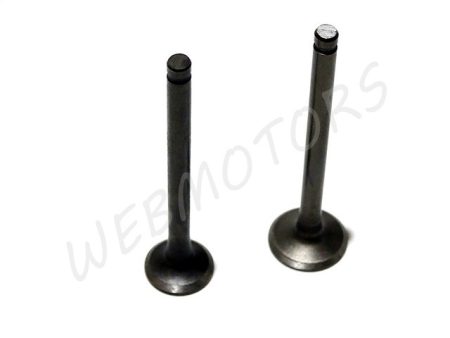 VALVE INTAKE+EXHAUST PAIR  /69.00MM/