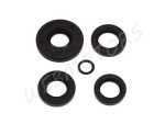 OIL SEAL SET