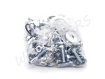 SCREW SET /FRAME/