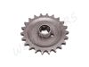 CHAIN SPROCKET T22 FRONT