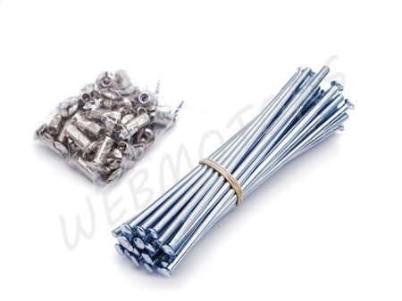 MZ ES 250/2 KÜLLŐ+ANYA 121 MM GRT. HORGANYZOTT