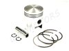 PISTON 70.00 KIT MZ/TS 250